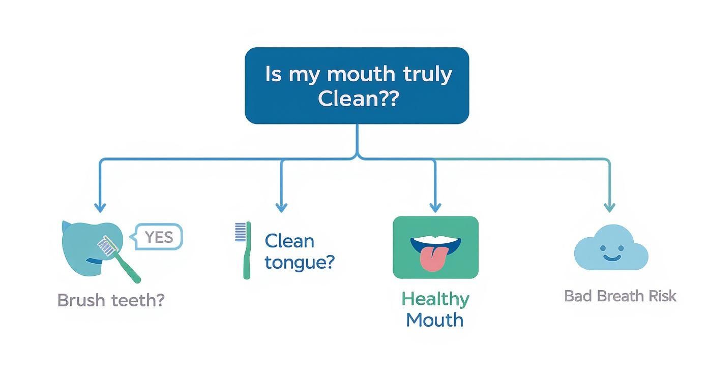 Infographic about how to clean tongue properly