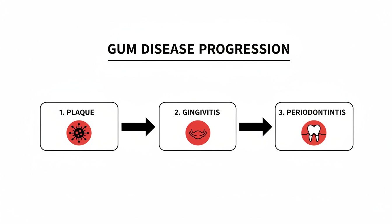 Diagram illustrating the three stages of gum disease progression: Plaque, Gingivitis, and Periodontitis.