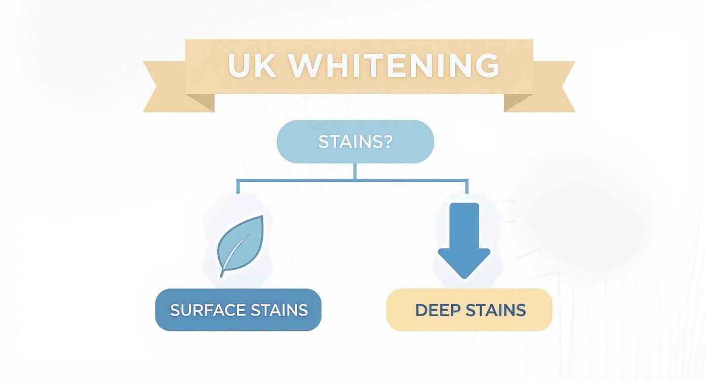 Infographic about best teeth whitening kits uk