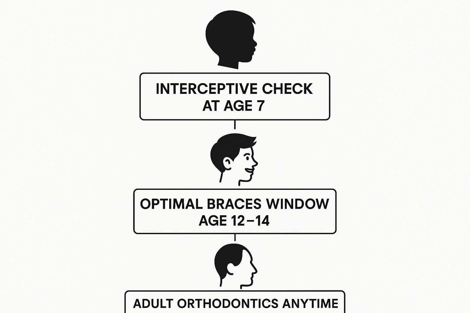 Infographic showing the three main orthodontic stages from early checkups to adult treatment