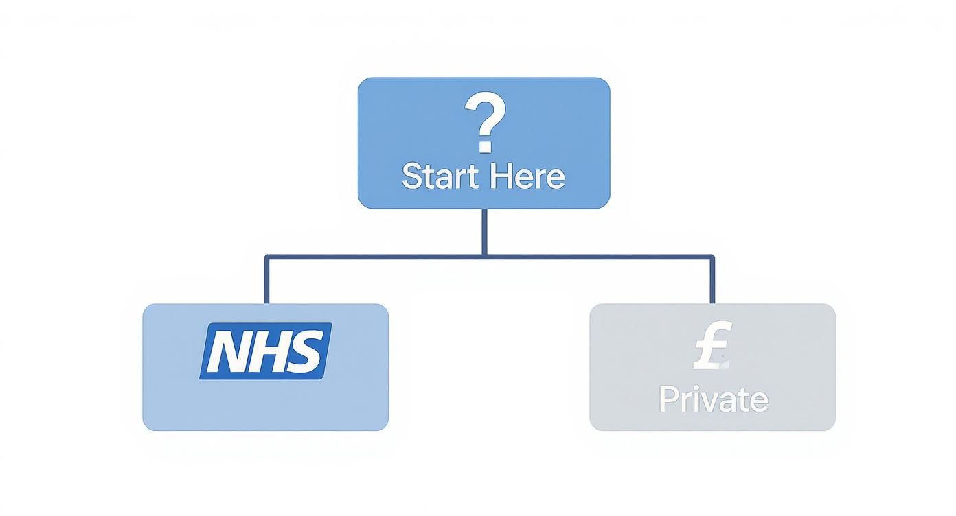 Healthcare decision flowchart showing NHS versus private treatment options with question mark starting point