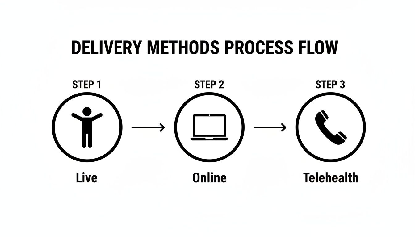 Process flow diagram illustrating three delivery methods: Live, Online, and Telehealth steps.