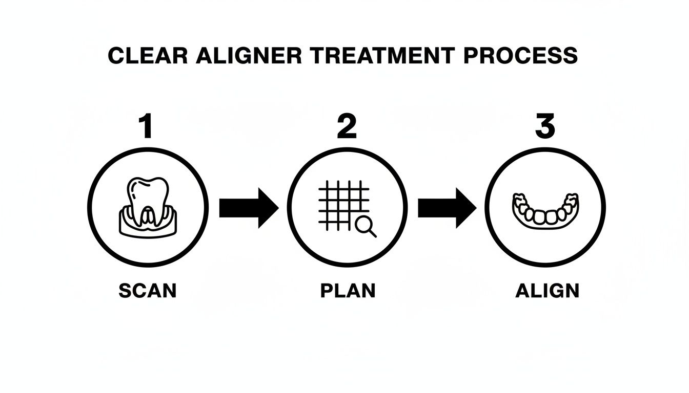 A clear aligner treatment process infographic showing three steps: scan, plan, and align.