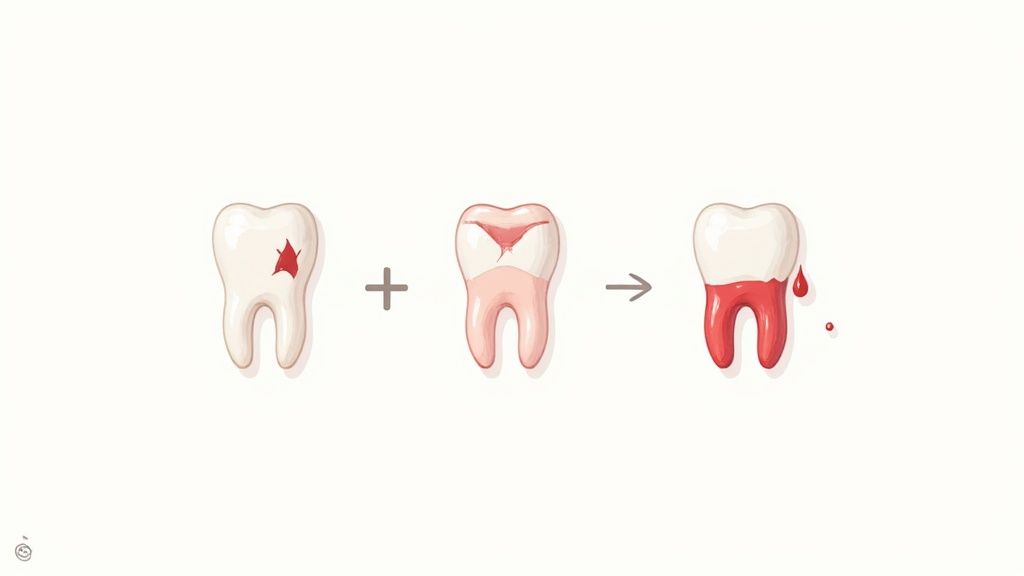 A friendly dentist consulting with a patient during an emergency appointment