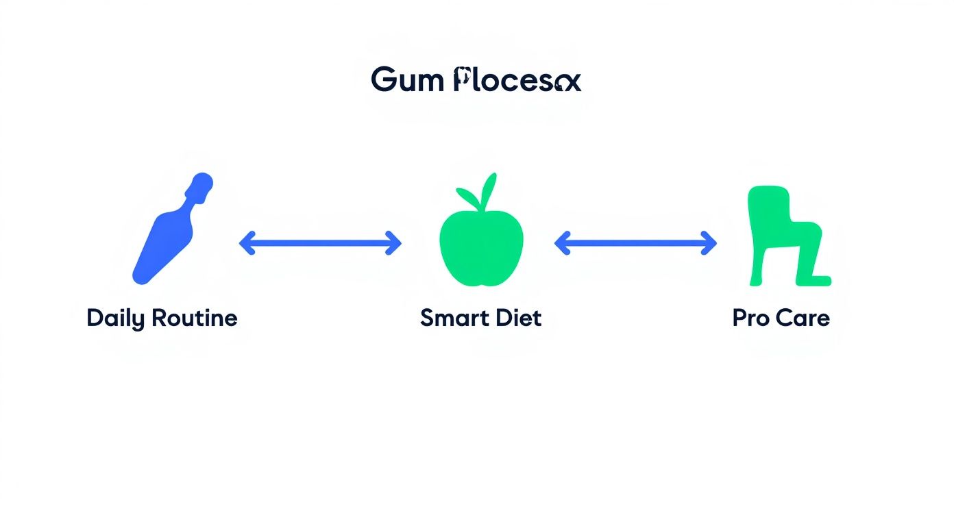 Gum care process diagram showing daily routine, smart diet, and professional care connected by arrows