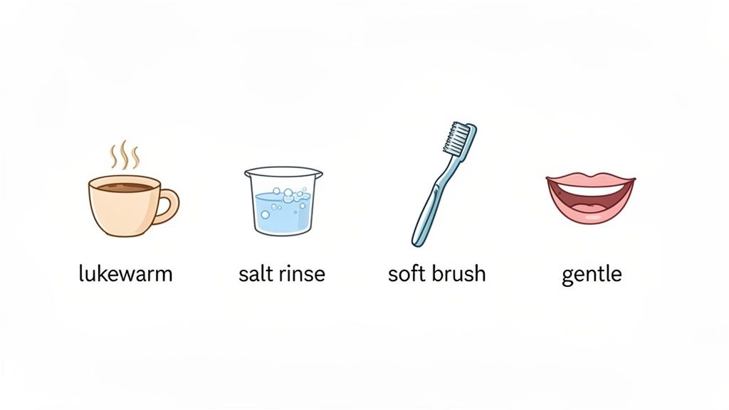 Four icons illustrating dental care steps: lukewarm drink, salt rinse, soft brush, and gentle technique.