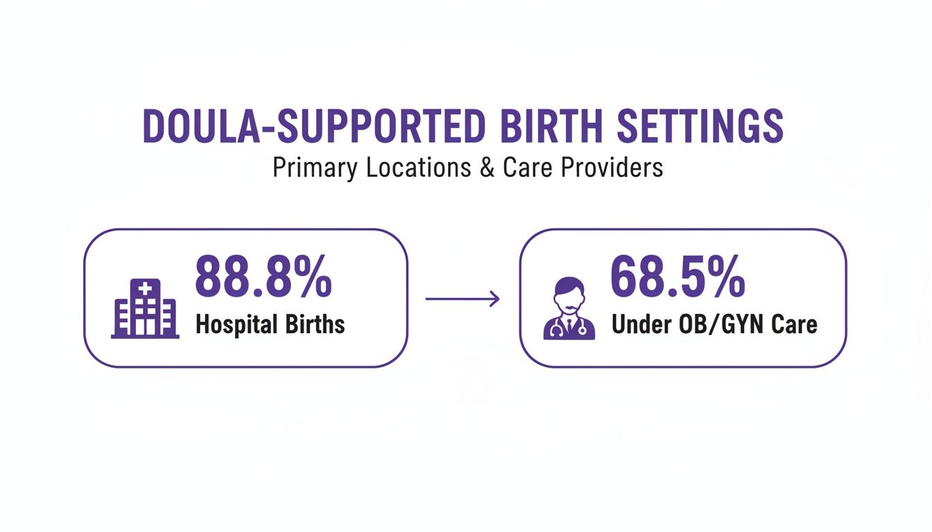 Infographic showing that 88.8% of doula-supported births are hospital births, with 68.5% under OB/GYN care.
