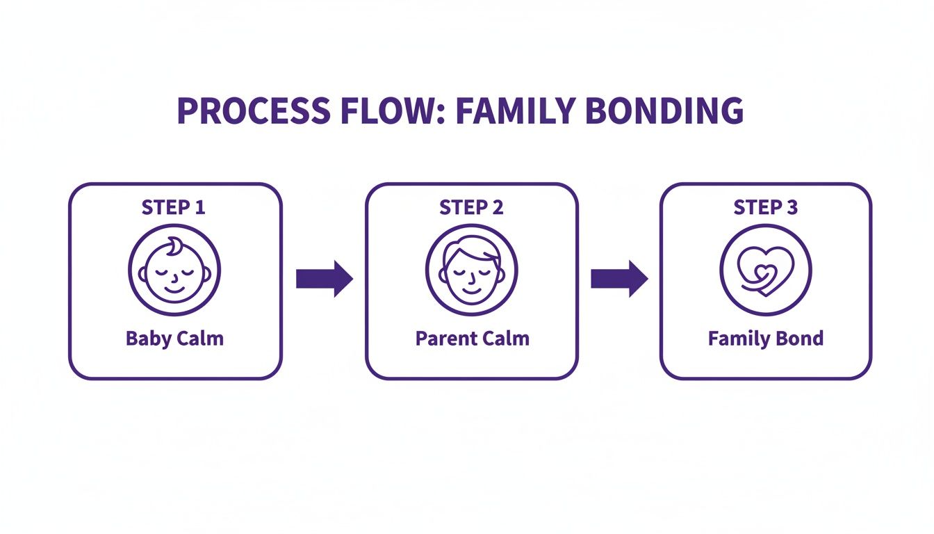 Process flow diagram showing three steps: Baby Calm, Parent Calm, and Family Bond, for family bonding.