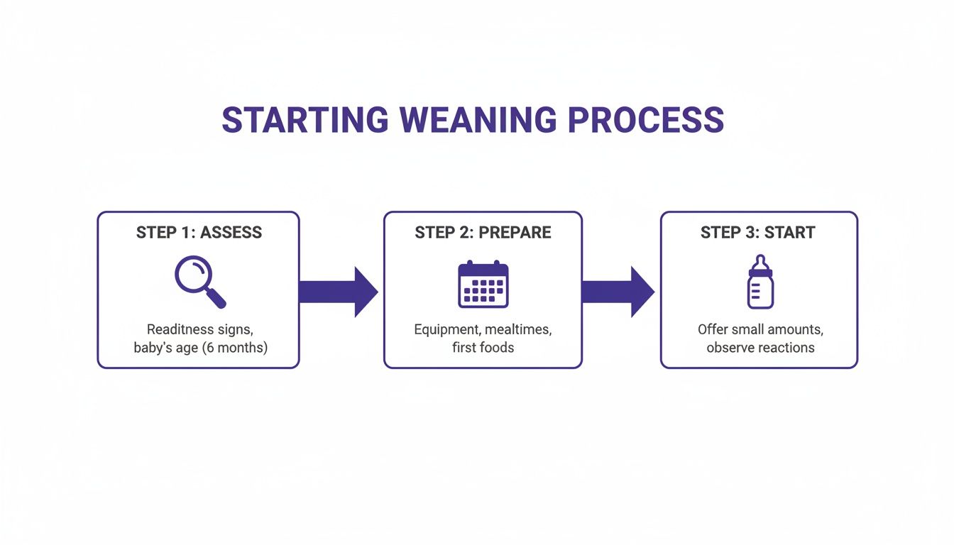 A flowchart outlining the three steps for starting the baby weaning process: assess, prepare, and start.