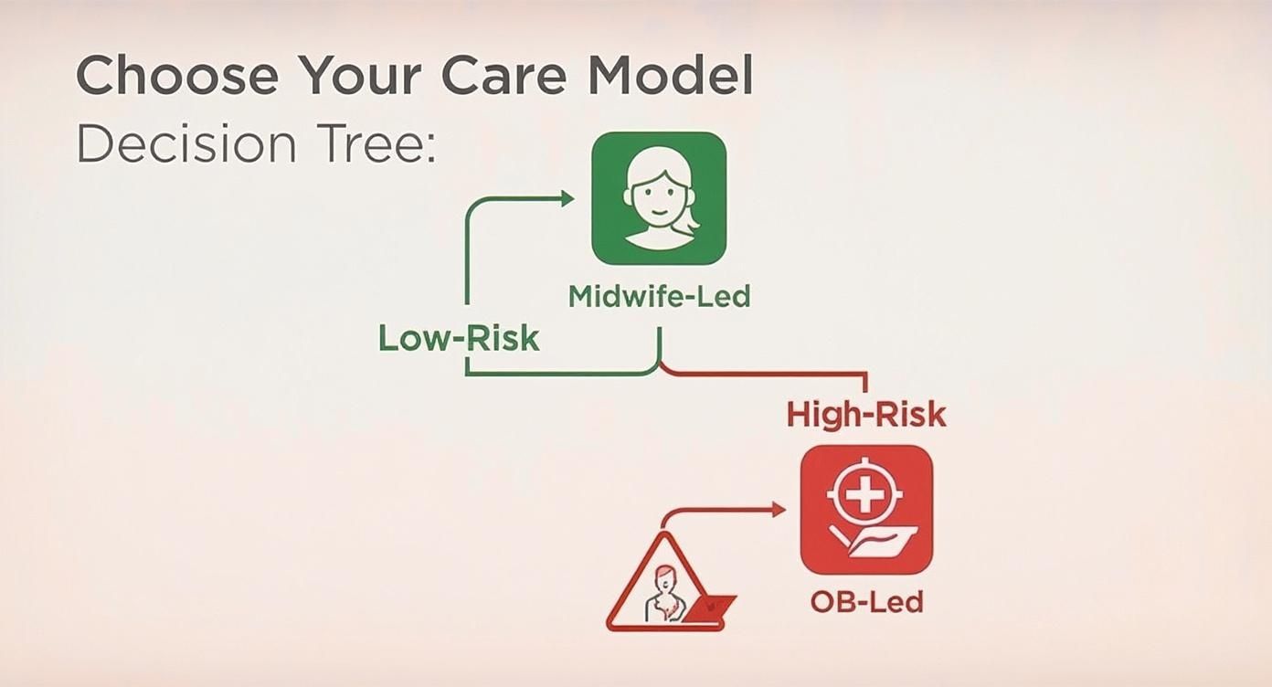 Decision tree diagram showing maternity care model options: low-risk midwife-led or high-risk obstetrician-led care pathways