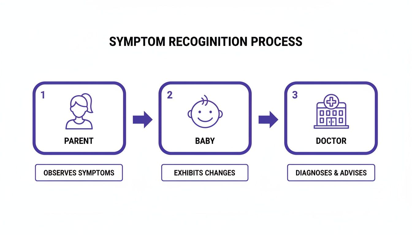 A flowchart showing the symptom recognition process: Parent observes symptoms, Baby exhibits changes, Doctor diagnoses and advises.