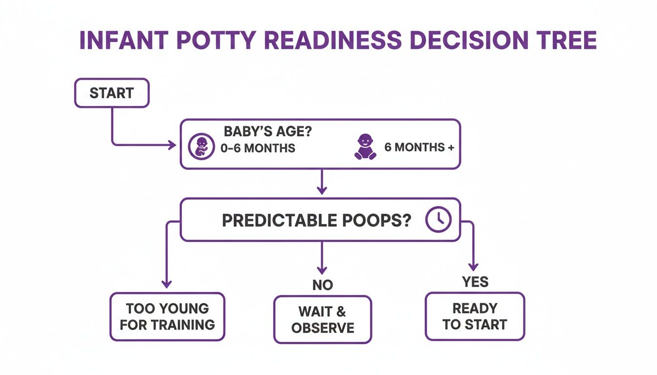 Infant potty readiness decision tree flow chart helps determine when to start training based on age and predictable poops.