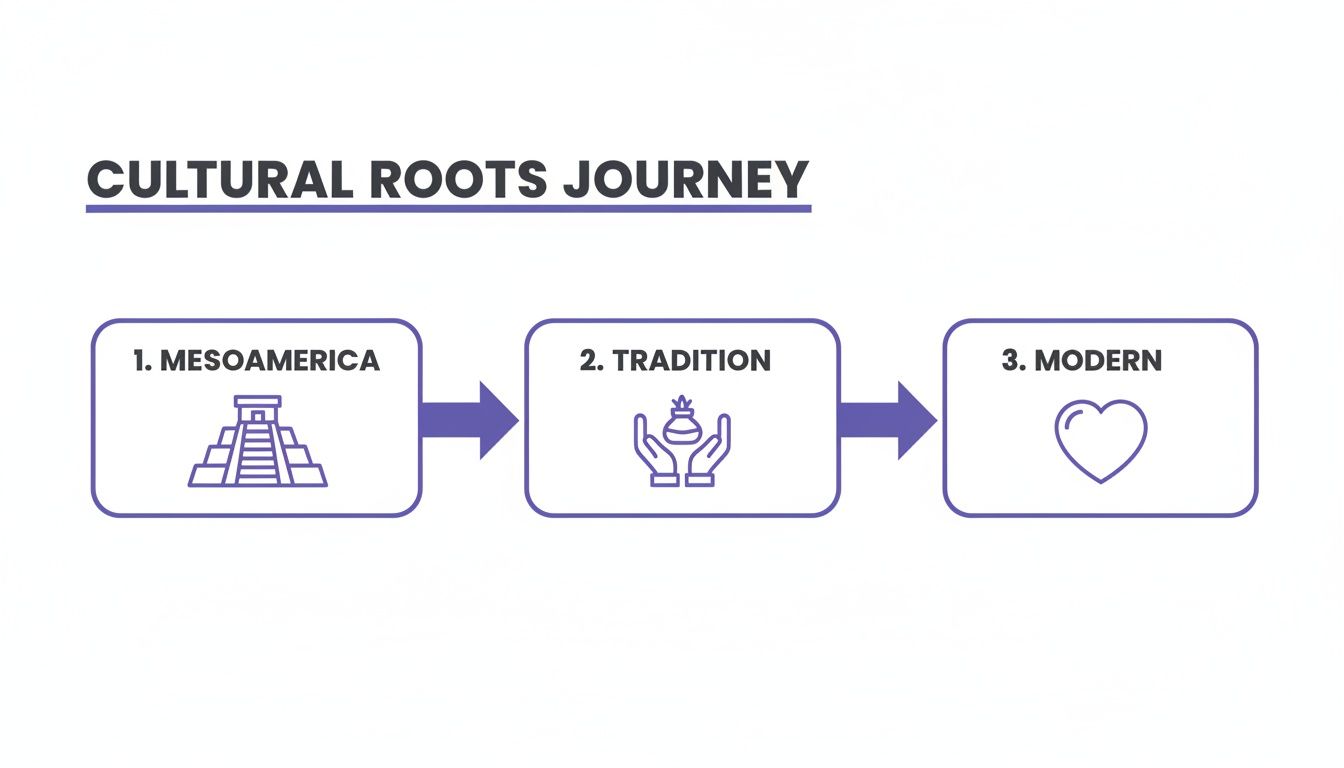 A three-stage cultural roots journey diagram: Mesoamerica (pyramid), Tradition (hands with pot), and Modern (heart).