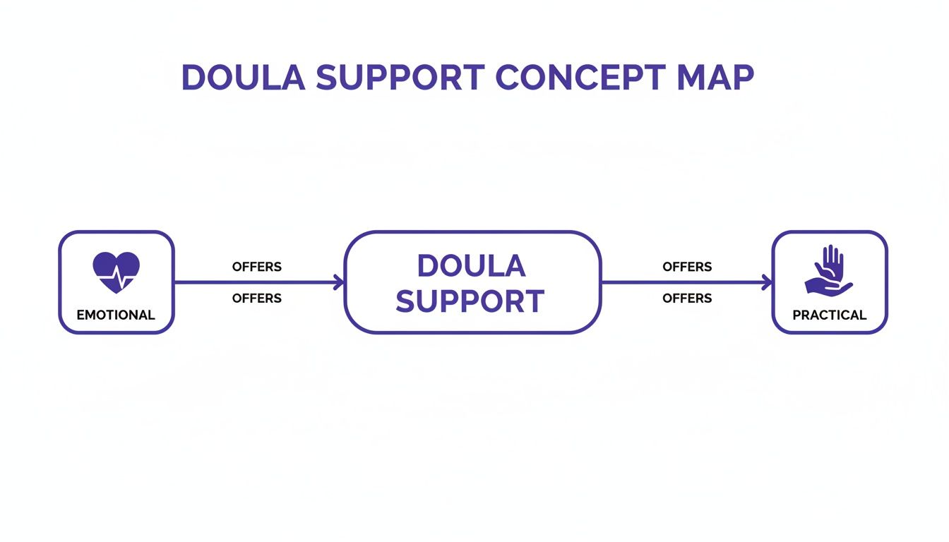 A concept map showing Doula Support offers both emotional and practical assistance.