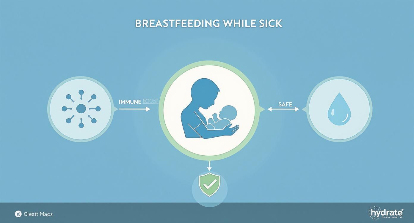 Infographic about is it ok to breastfeed while sick