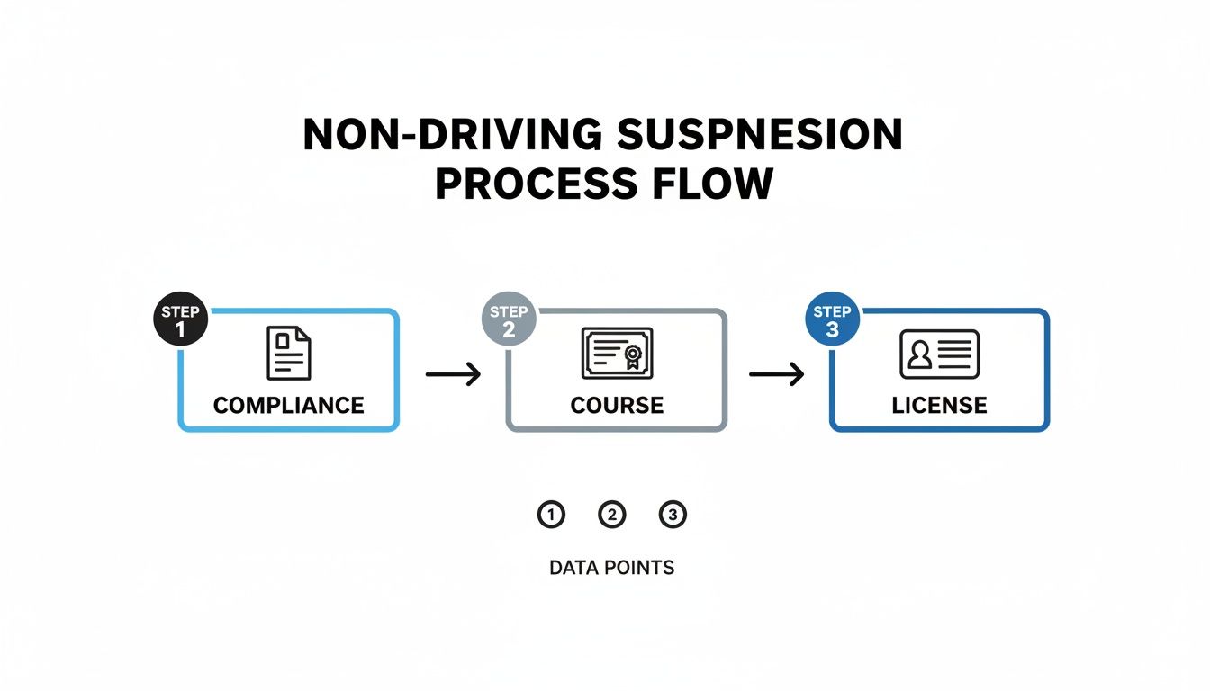 Flowchart illustrating the non-driving suspension process with steps for compliance, course, and license.