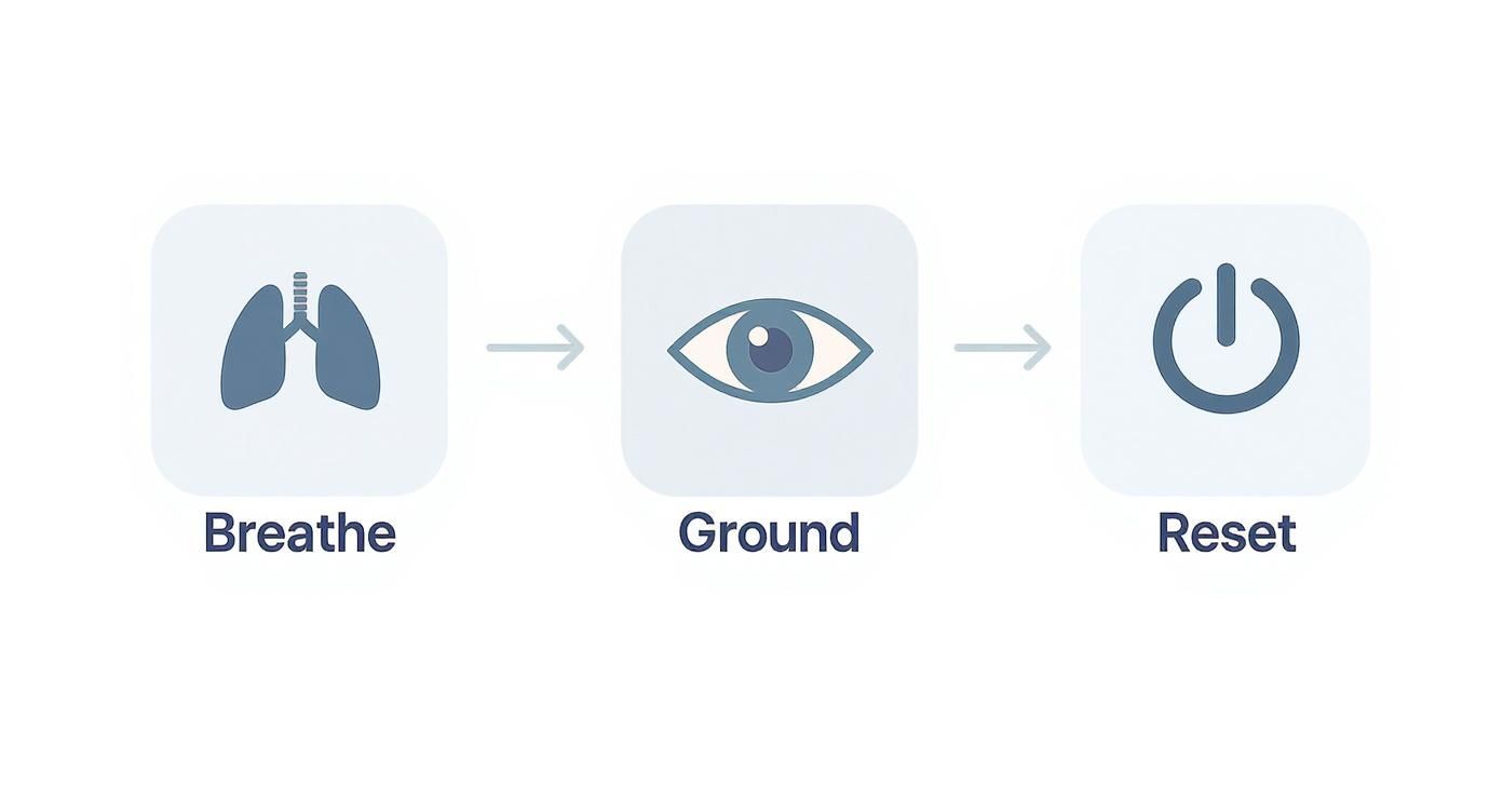 A three-step process diagram with icons: Breathe (lungs), Ground (eye), and Reset (power button).