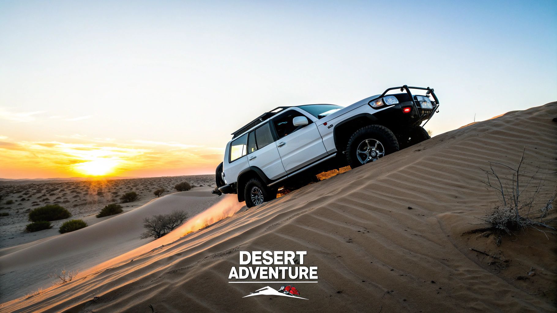 Desert Safari and Dune Bashing