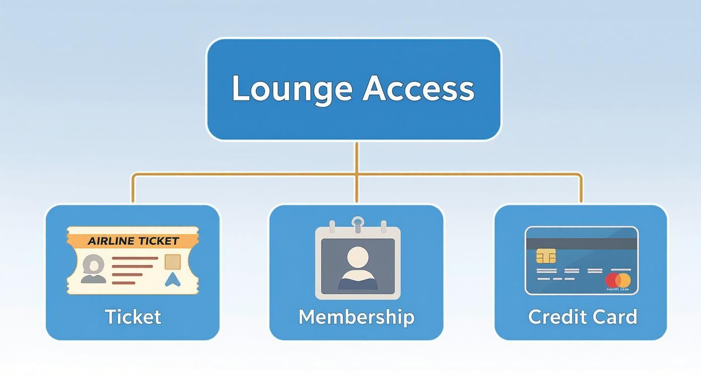 Infographic about dubai airport lounge