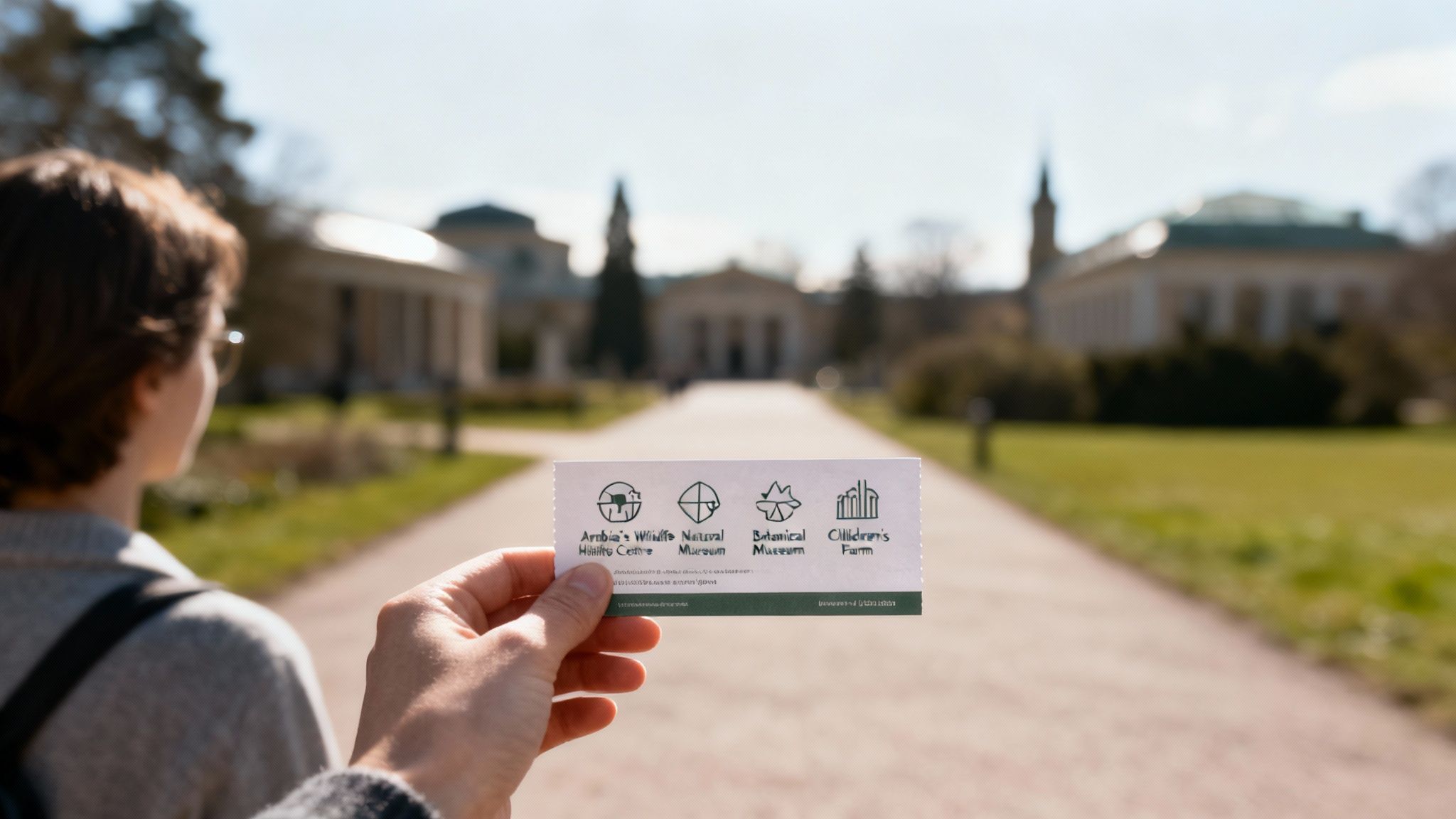 Arabian oryx in a sandy enclosure at Sharjah Desert Park.