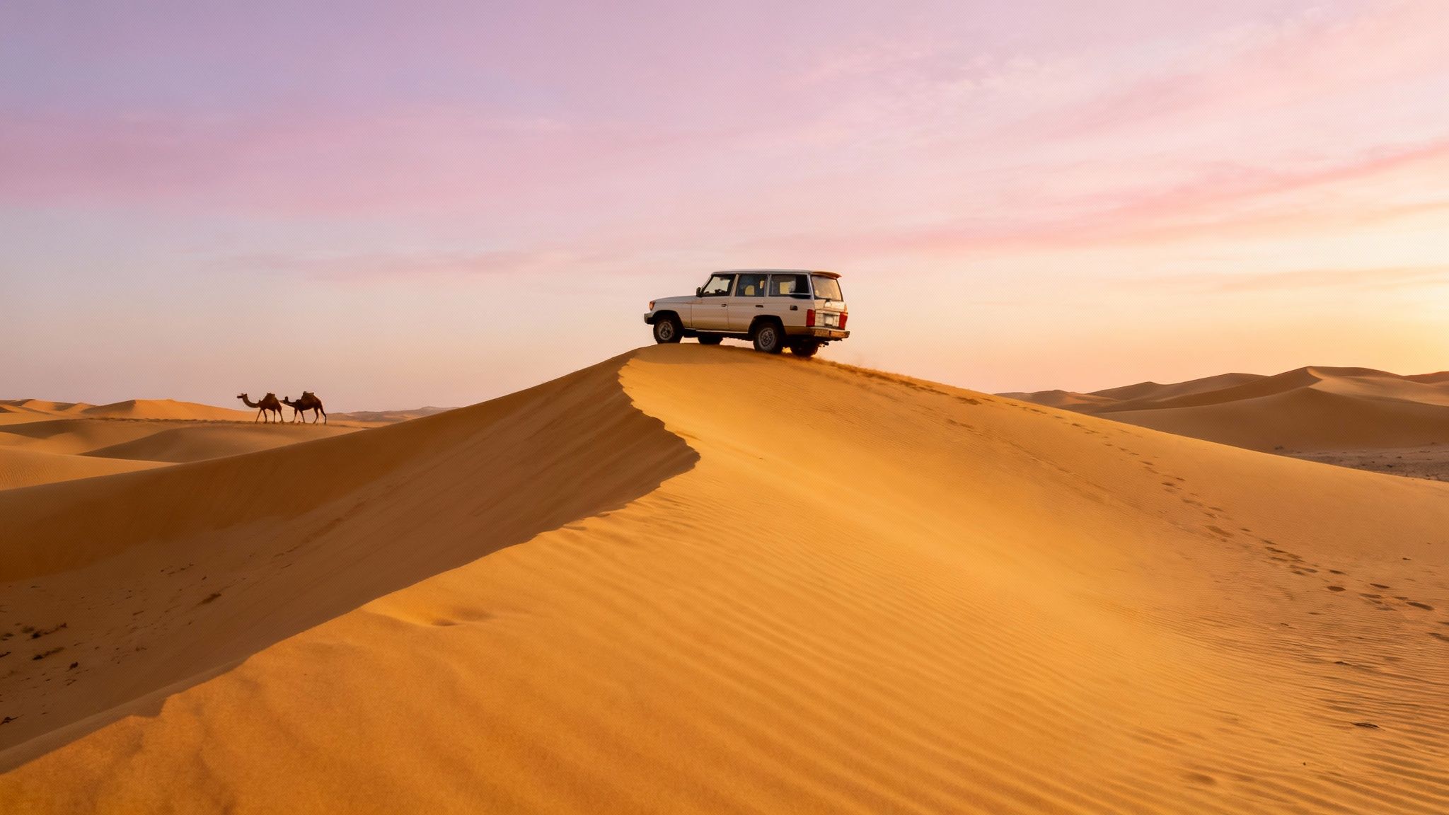 Desert Safari With Bedouin-Style Dinner