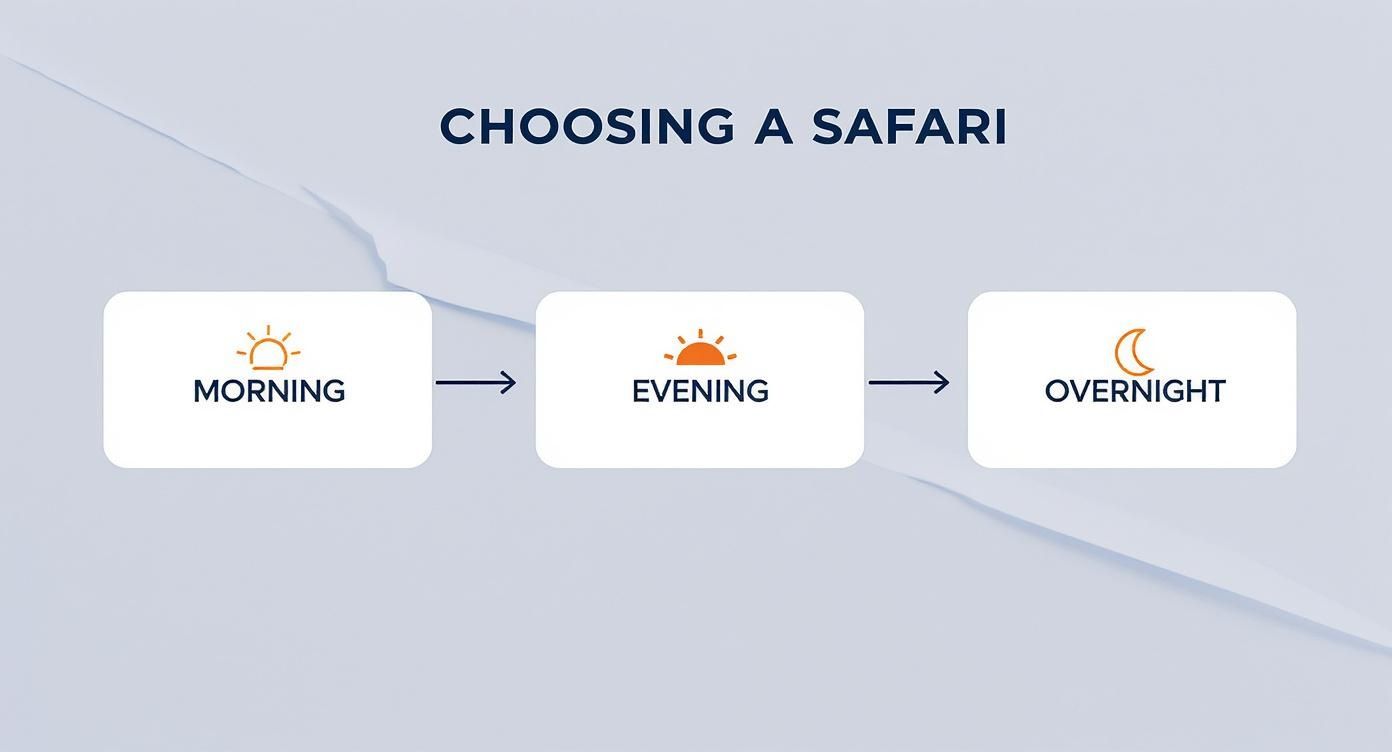 Infographic about desert safari with quad biking