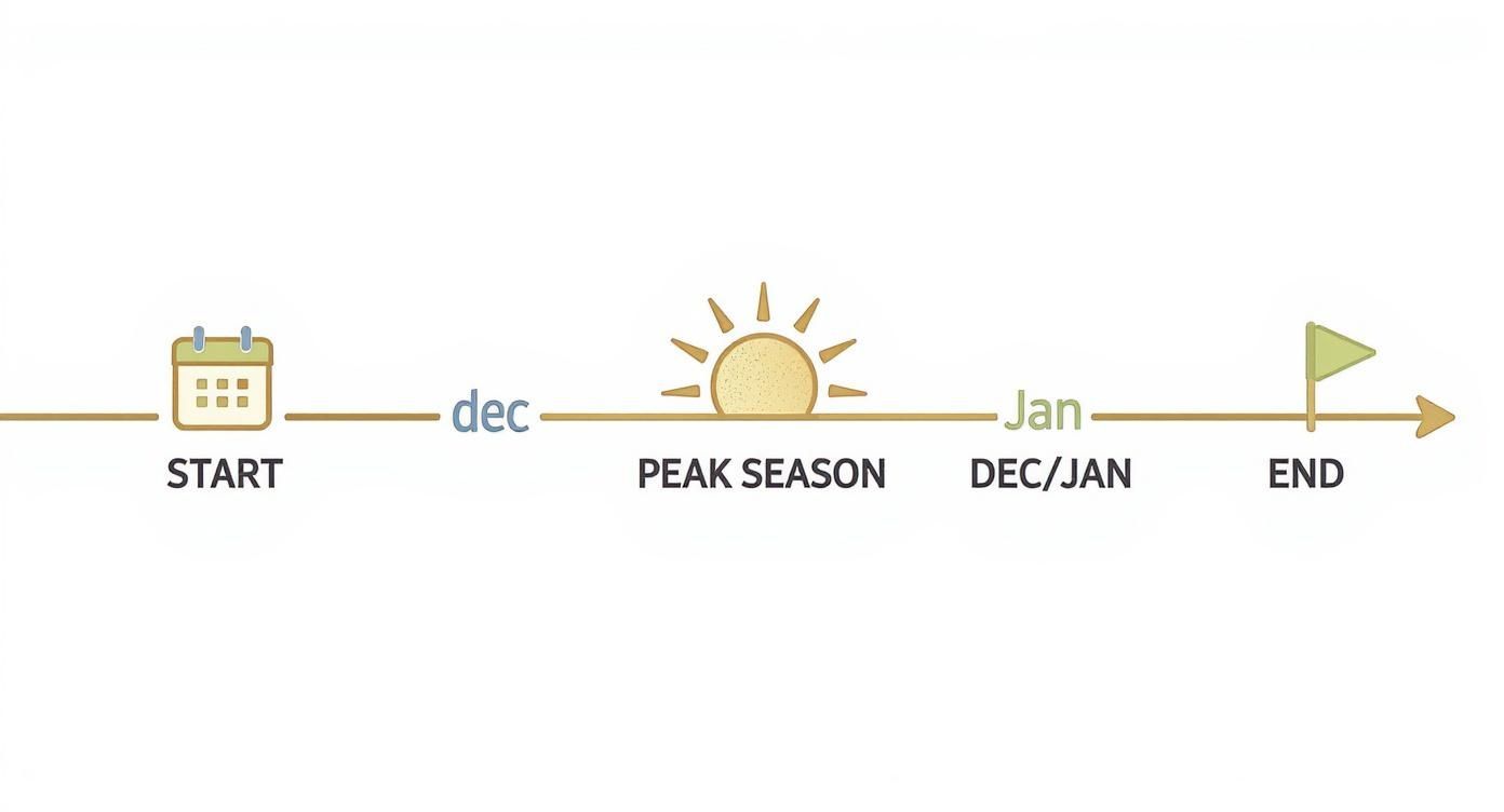 Timeline showing Dubai Shopping Festival dates from start through peak season in December January to end