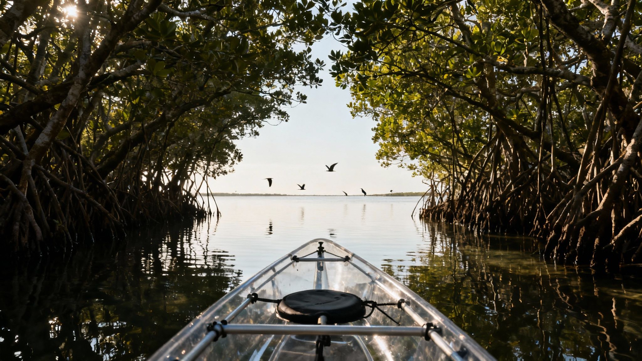 Mangrove National Park Kayaking