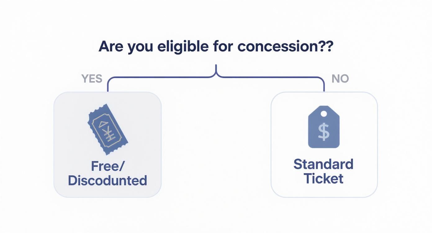 Infographic decision tree for Louvre Abu Dhabi tickets, showing paths for standard versus concession tickets.