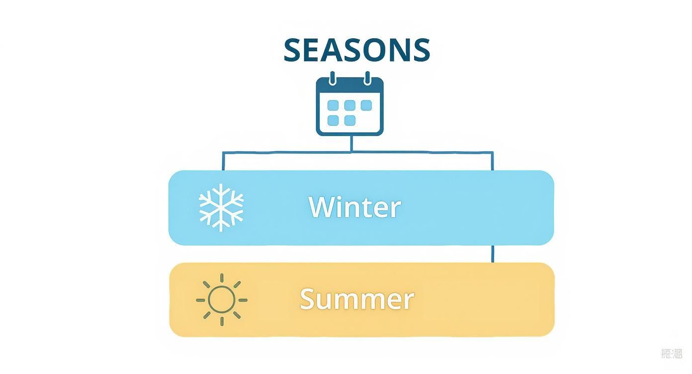 Infographic about deep sea fishing dubai