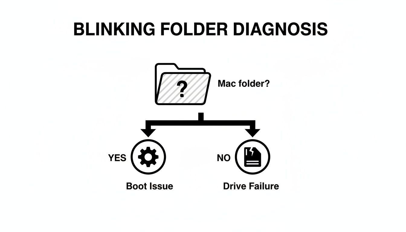 Diagnostic flowchart for a blinking Mac folder, indicating boot issues or drive failure.