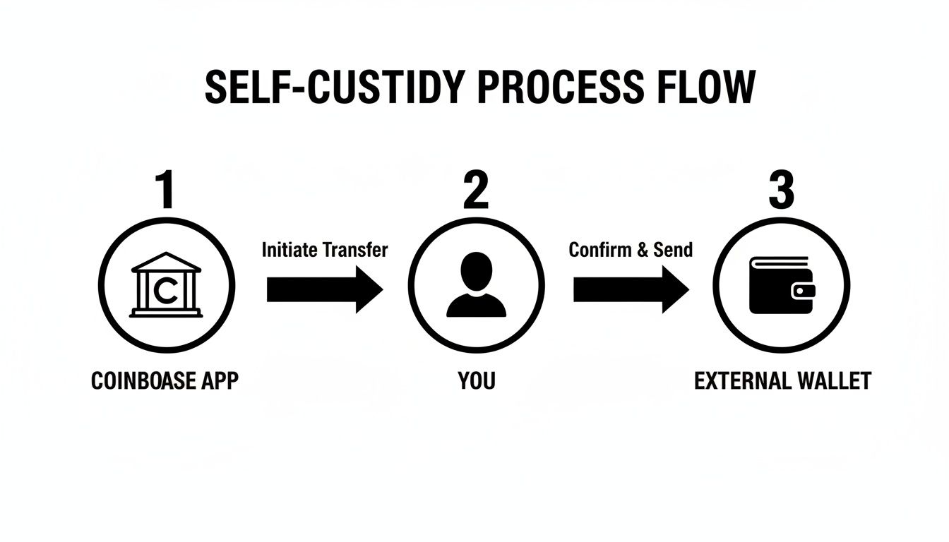 Diagram illustrating the self-custody process, moving assets from Coinbase App to an external wallet.