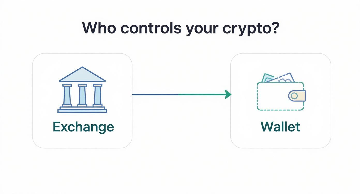 Infographic about how safe is coinbase wallet