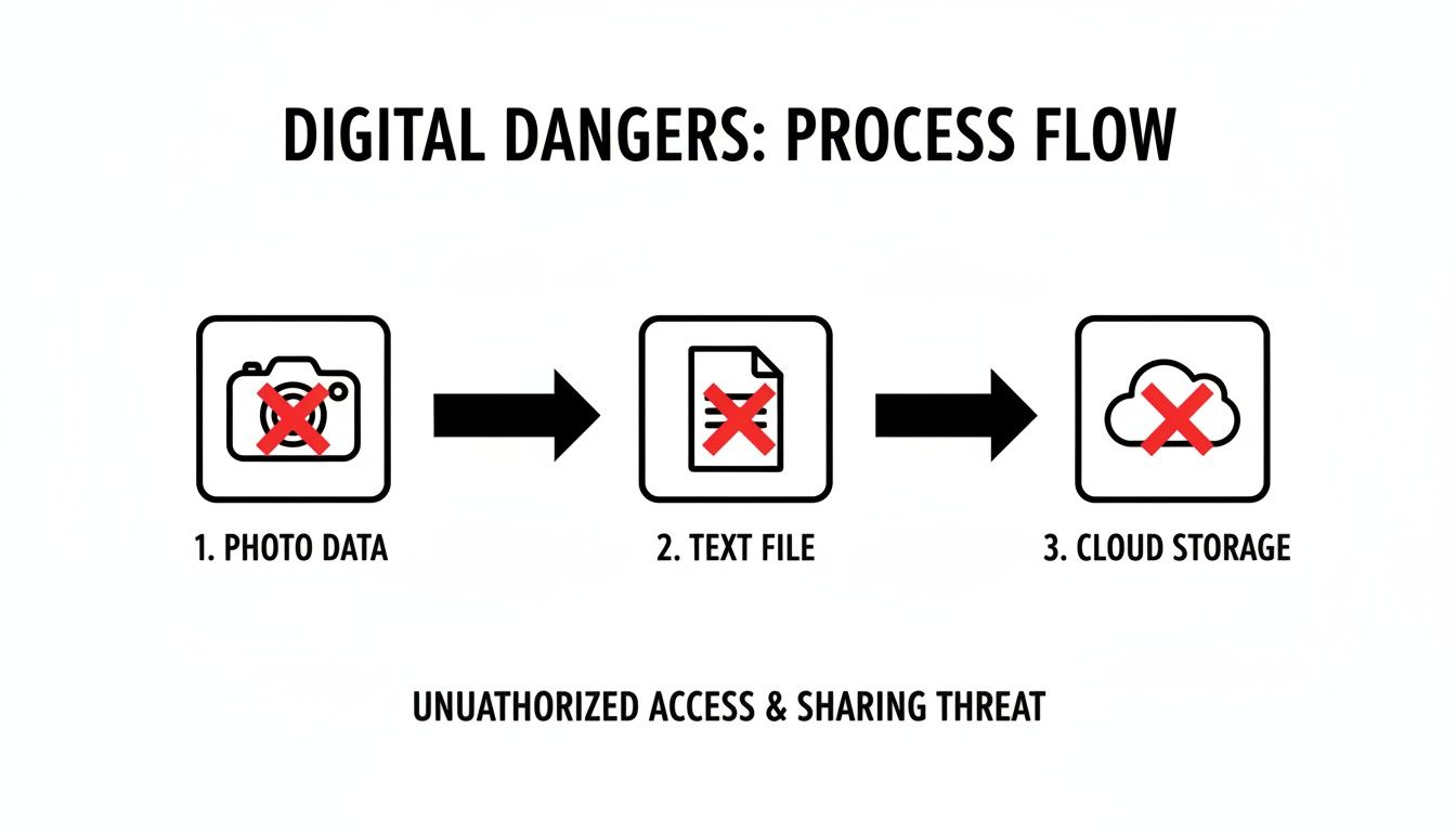 Diagram illustrating digital dangers: unauthorized access and sharing threats to photo data, text files, and cloud storage.
