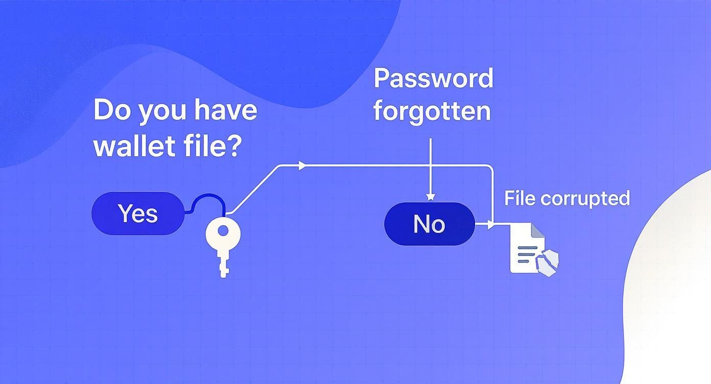 Infographic about lost crypto wallets