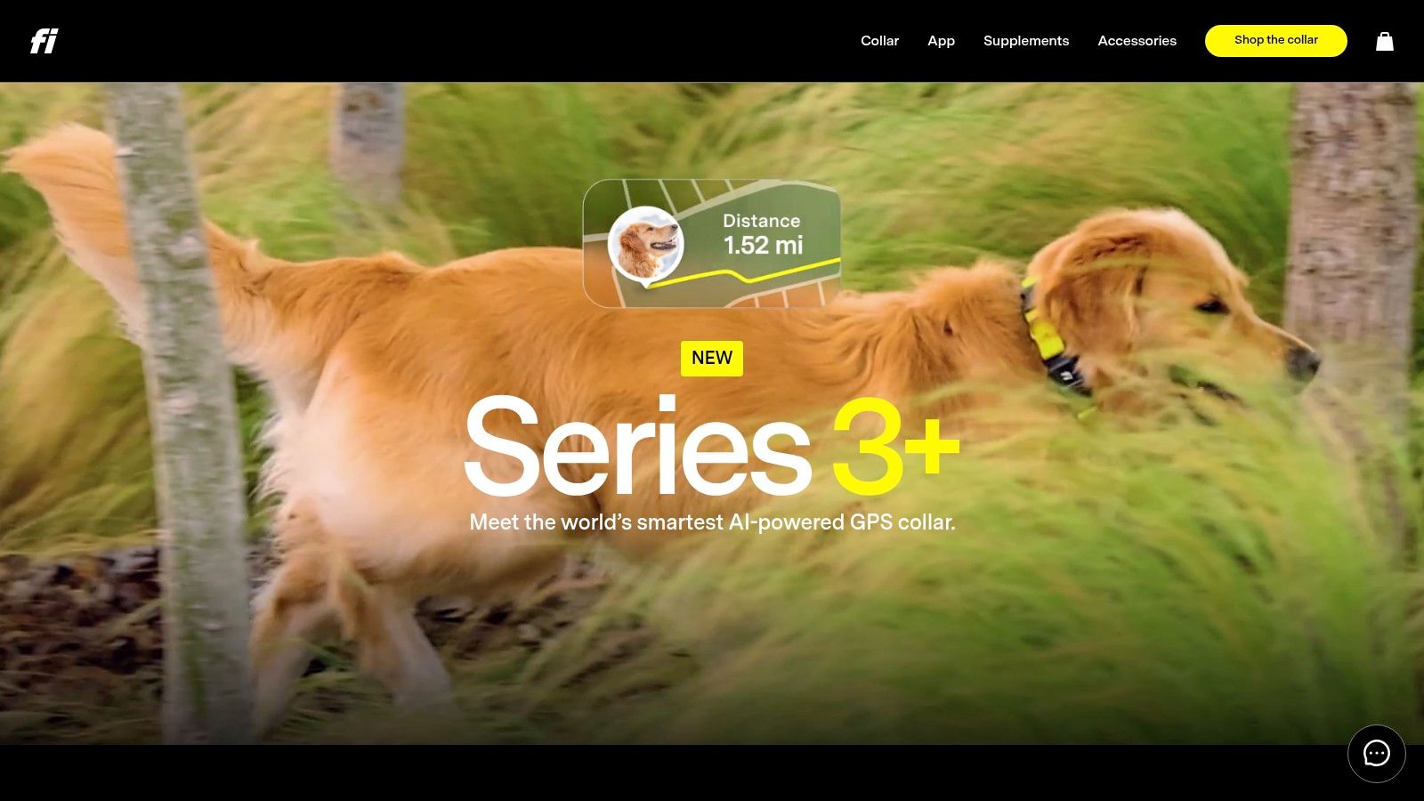 Fi Series 3 Smart Dog Collar