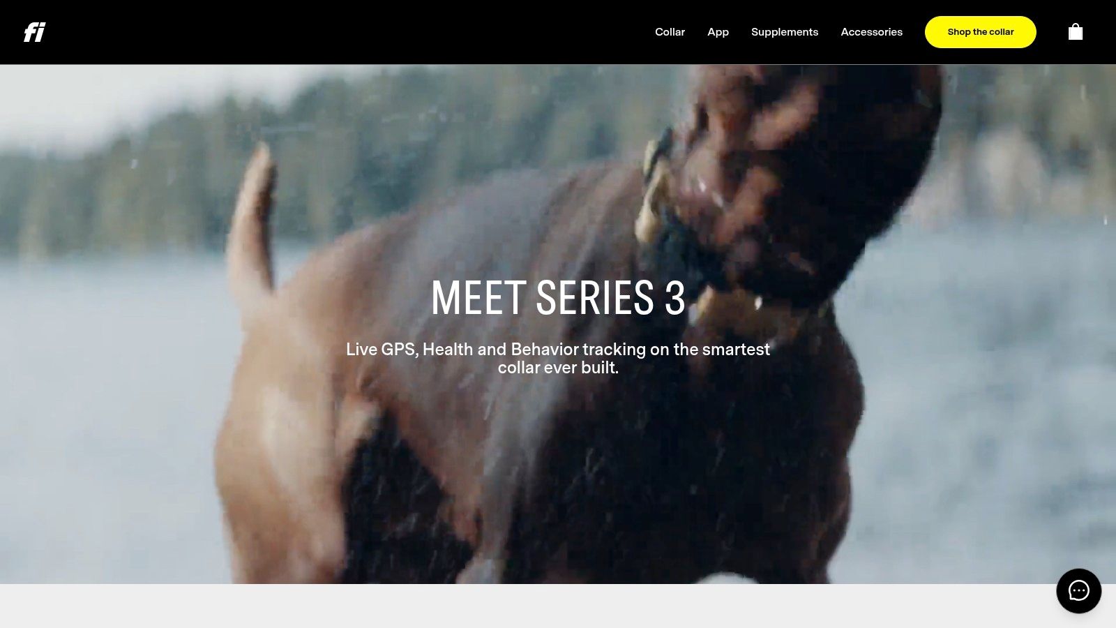 Fi Smart Dog Collar