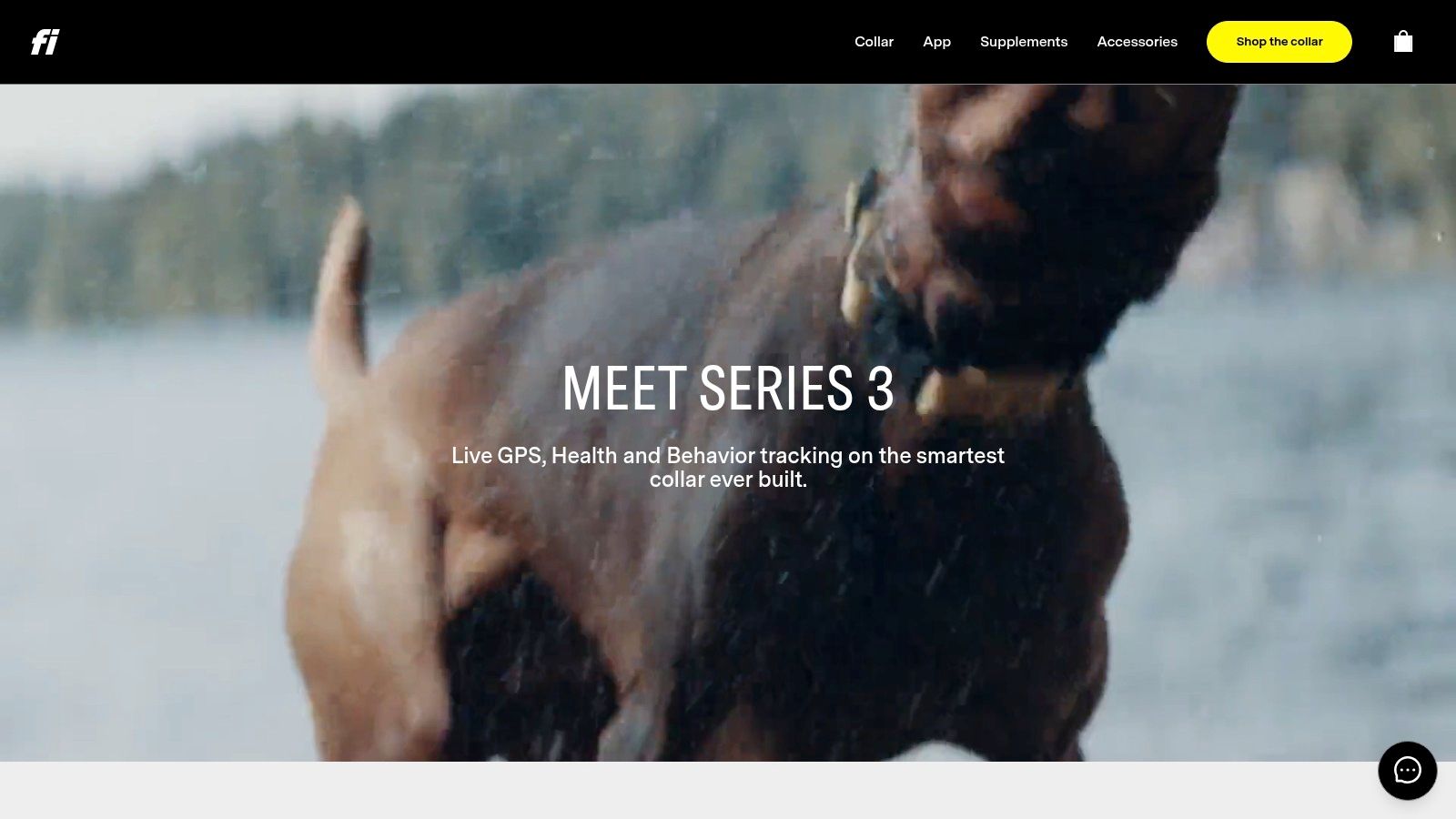 Fi Smart Dog Collar