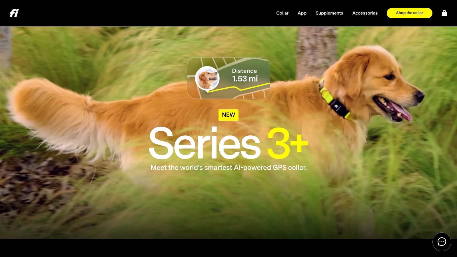 Fi Series 3 GPS Dog Collar