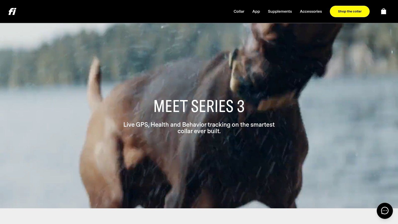 Fi Series 3 GPS Dog Collar