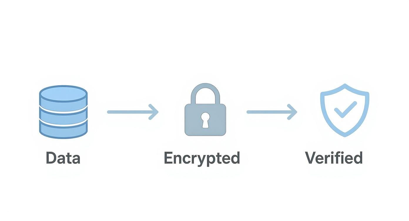 Infographic about court reservation system