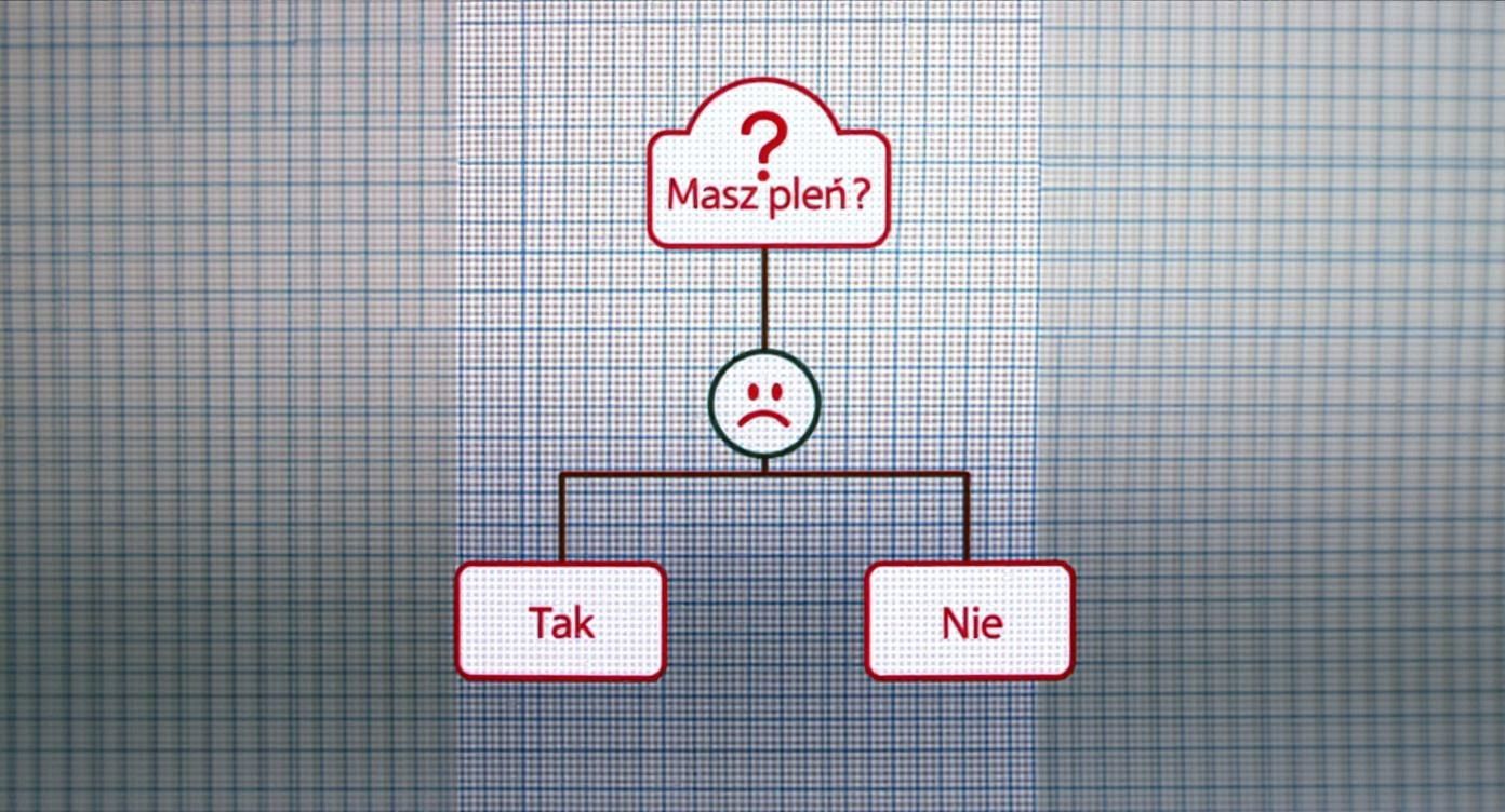 Infographic about grzyba na suficie