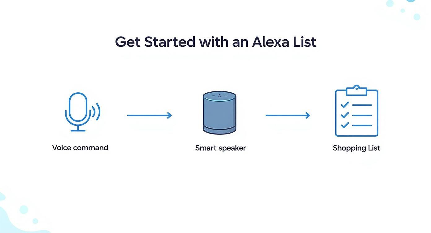 Infographic about alexa shopping list