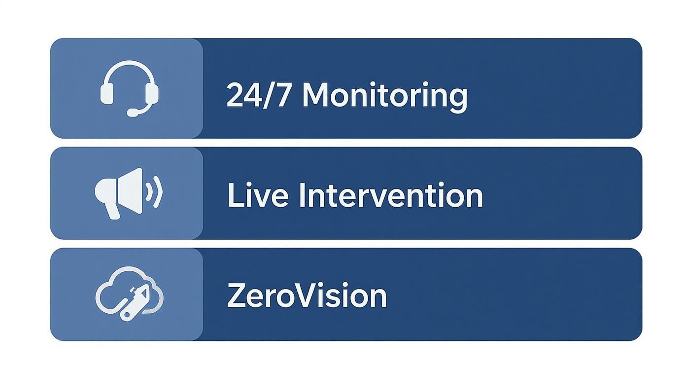Infographic showing Verisure's monitoring services including 24/7 Monitoring, Live Intervention, and ZeroVision.