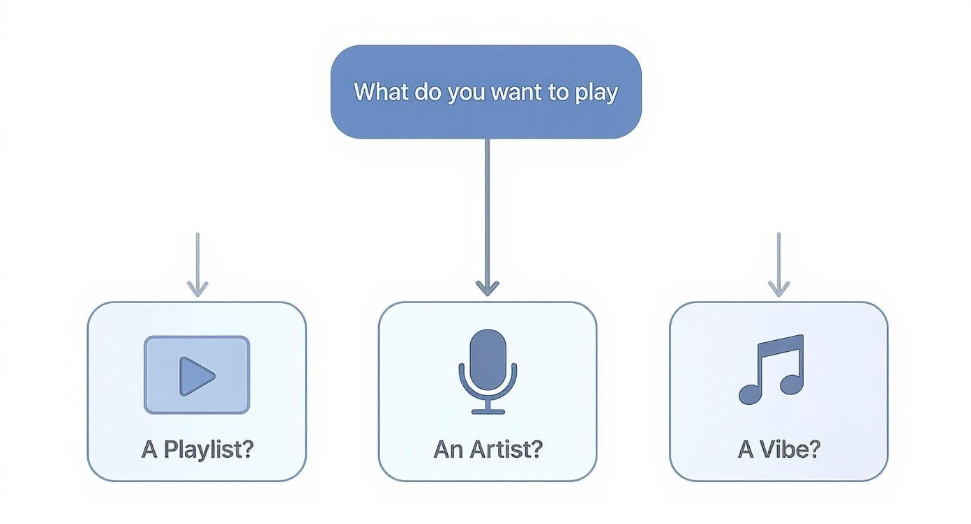An infographic decision tree helping users choose voice commands for playing music on their Amazon Echo with Apple Music.