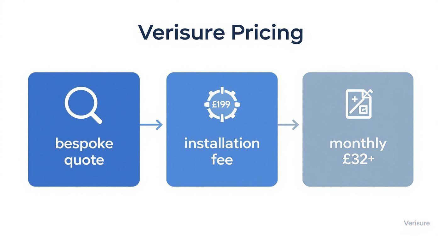 Infographic about how much do verisure alarms cost