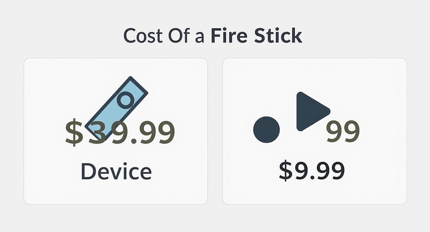 Infographic about amazon fire stick subscription