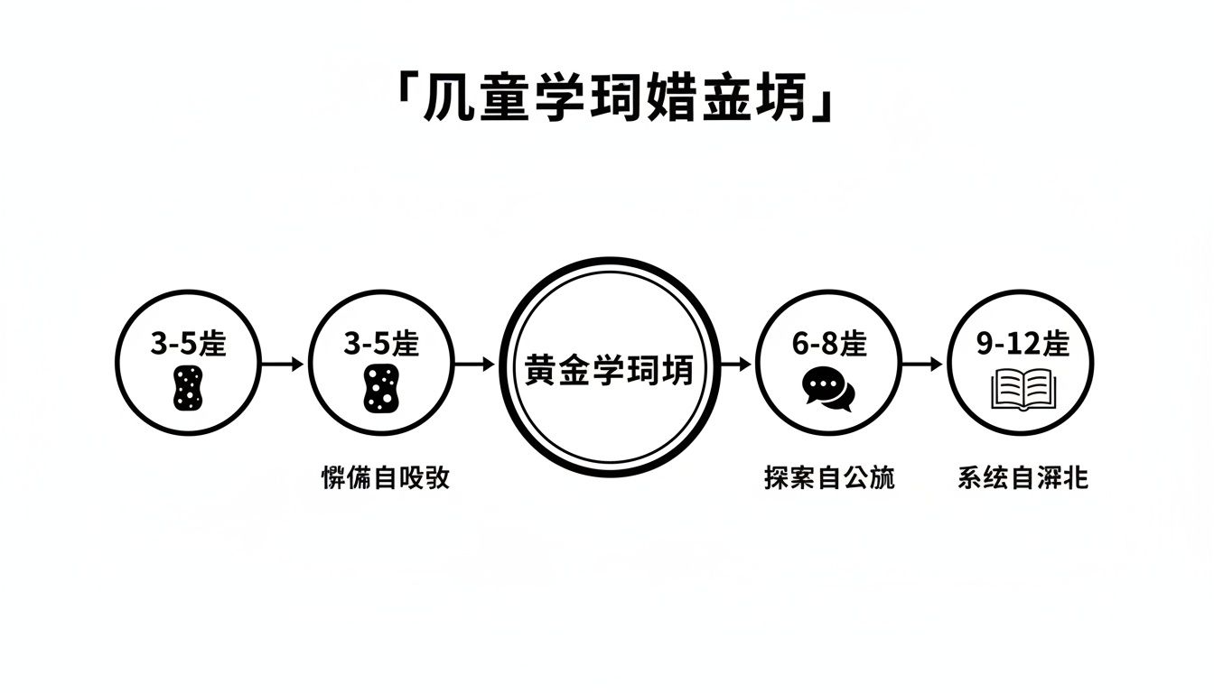 The Children's Vocabulary Learning Path Map showcases vocabulary learning methods and key points for children aged 3-12 at each stage.