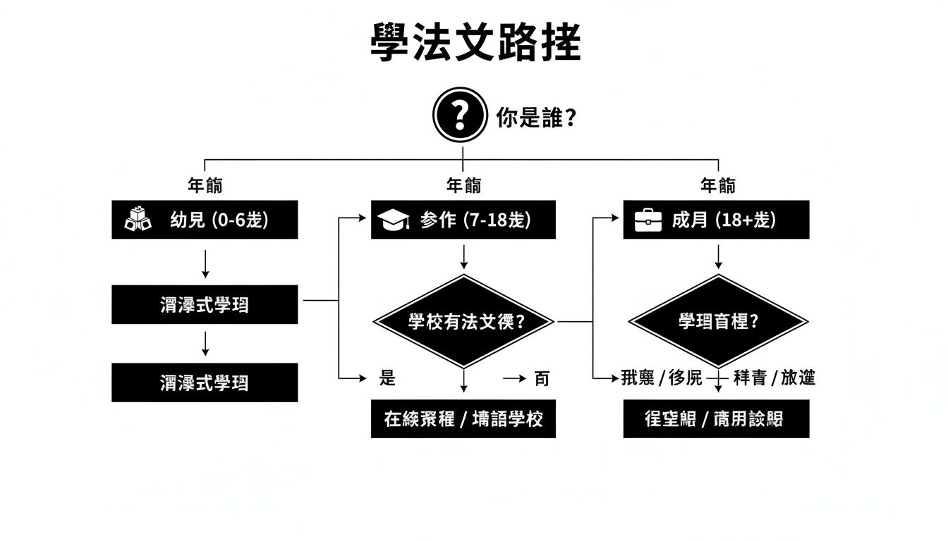 一張關於學習法語的流程圖，根據年齡提供不同的學習路徑。