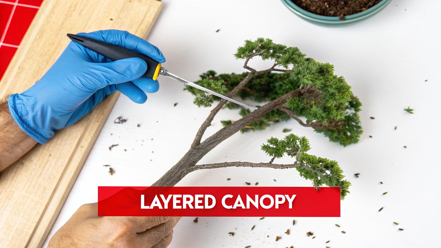 A close-up of realistic foliage being applied to a model tree's branches.